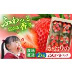 いちご かおりの計2kg