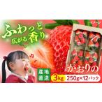 いちご かおりの計3kg