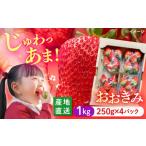 いちご おおきみ 計1kg