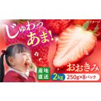 ふるさと納税 いちご 長崎県 西海市 いちご 1月より順次発送 おおきみ 計2kg（約250g×8パック） 武藤農園 CFV005 長崎県 西海市 イチゴ 贈答 ギフト 大粒 果…
