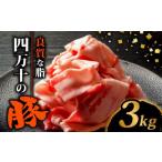 豚肉 バラ 四万十ポークスライス3kg 300g