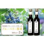 果汁飲料 ブルーベリー 原液 600ml