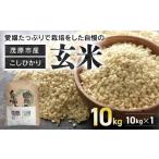 ふるさと納税 玄米 千葉県 茂原市  令和7年産 　茂原市産こしひかり玄米10ｋｇ ふるさと納税 コシヒカリ 米 玄米 こめ 千葉県 茂原市 MBAO008