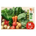 fu.... налог комплект *... Nagasaki префектура остров . город AI022 10~5 месяц ограничение отгрузка .... .. овощи .....(8~10 товар ) случайный M комплект овощи .... вид популярный мужской...