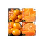 ショッピング甘平 ふるさと納税 果物類 みかん 愛媛県 八幡浜市  発送月固定定期便 「こたつの上の冬物語」人気の4品種 H49-70 全4回 4056121