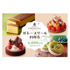 イベントやチケット等 ガトースリール利用券