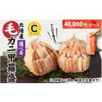 ふるさと納税 カニ 毛ガニ 福井県 福井市  訳あり 蟹好き集まれ 選べる北陸産 毛ガニ 甲羅盛Cセット 40,000円コース D-096008_03 ／ カニ 蟹 かに ケガニ 毛蟹…