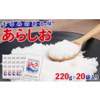 塩 だし 粗塩 あらしお 220g×20袋入り