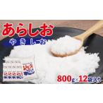 塩 だし 粗塩 あらしおやきしお 800g×12袋入り