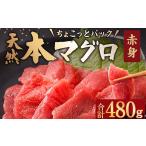 惣菜 レトルト 冷凍 天然本まぐろ 赤身 切落し