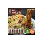 加工品等 定期便 6回 老舗博多皿うどん店よりお届け