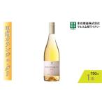 ふるさと納税 ワイン 白ワイン 山梨県 笛吹市 『甲州オランジュ・グリ』白ワイン750ml×1本 015-029