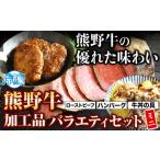 牛肉 セット 熊野牛 加工品バラエティセットミニ