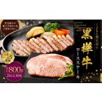 牛肉 ロース R8年熊本地震復興支援 定期便