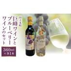 ワイン セット バリはやッ ZIPにて紹介されました