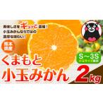 果物類 みかん 小玉みかん くまもと小玉みかん 2kg