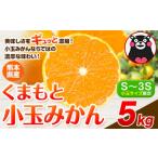 みかん 柑橘類 デコポン 訳あり 小玉みかん