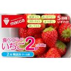 ショッピングふるさと納税 いちご ふるさと納税 いちご 兵庫県 西脇市 「ひょうご推奨ブランド」認証「西脇市産いちご食べくらべセット」（1箱2パック）令和８年２月下旬配送分〜いちご畑macca…