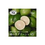ふるさと納税 みかん・柑橘類 レモン 愛媛県 八幡浜市  皮が薄くて種がない 愛媛グリーンレモン 5kg 愛媛県産 D70-51 1550676