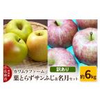 ふるさと納税 りんご 青森県 弘前市 25年11月〜発送 りんご 葉とらず サンふじ&名月 セット 約6kg カワムラファーム 訳あり 先行受付 青森 果物 フルーツ 林…