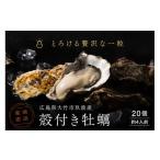 ふるさと納税 牡蠣 生牡蠣 広島県 大竹市 2026年1月8日より発送 くばおう 殻付き牡蠣 20個 (約4人前) 広島県 大竹市 玖波産|広島 広島牡蠣 玖波 殻付き牡蠣 …