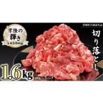 豚肉 炒め物 銘柄豚 常陸の輝き 切り落とし 1.6kg