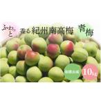 ふるさと納税 果物類 和歌山県 田辺市  先行予約 ふわっと香る紀州南高梅　青梅10kg 2026年5月下旬〜7月上旬頃に順次発送予定 期間限定：2026年6月15日まで ／…