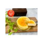 ふるさと納税 ケーキ・カステラ チーズケーキ 鳥取県 琴浦町  大容量 訳あり 鳥取特選フロマージュ 厳選素材　濃厚チーズケーキ12cm 5台《「食パラダイス鳥取…