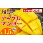 ショッピングふるさと納税 マンゴー ふるさと納税 マンゴー 沖縄県 八重瀬町  先行受付 2026年発送 屋宜原農園が丹精込めた「アップルマンゴー」秀約1.5kg - 先行予約 沖縄県産 産地直送 南国フル…