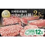 産豚肉バラエティ4種セット2.5kg
