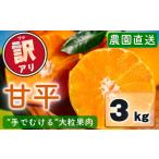 ふるさと納税 みかん・柑橘類 愛媛県 松山市 先行予約 訳あり 農園直送 甘平(かんぺい) 3kg 1月上旬〜2月中旬発送 愛媛県限定 希少 高級柑橘 手でむける み…