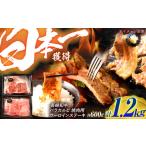 牛肉 ステーキ 長崎和牛 焼肉セット 600g×2パック