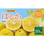 ふるさと納税 みかん・柑橘類 熊本県 熊本市 規格外品 はるか ご家庭用 10kg サイズ不選別 サラダみかん 柑橘 ミカン 果物 2026年2月上旬〜3月下旬迄発送予定…