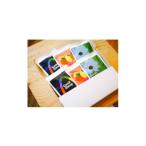 ふるさと納税 コーヒー ドリップ 岩手県 野田村 自家焙煎珈琲 SINGLE ORIGIN ドリップバッグ10個 1526649