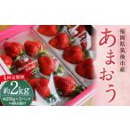 ショッピングふるさと納税 いちご ふるさと納税 いちご 福岡県 筑後市  4回定期便 特別栽培の 濃厚 完熟 あまおう 約500g 約250g×2パック 2025年12月上旬から2026年3月下旬発送予定 苺 いちご …