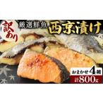 16種の中からおまかせ4種 西京漬け16枚 4切れ×4袋