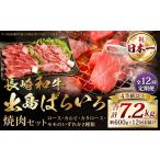 牛肉 焼肉 バーベキュー 全12回定期便 A4ランク以上