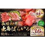 牛肉 焼肉 バーベキュー 全6回定期便 A4ランク以上