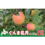 ふるさと納税 りんご 北海道 壮瞥町 2025年11月中旬よりお届け 北海道壮瞥町 りんご「ぐんま名月」12〜20玉約5kg ふるさと納税 人気 おすすめ ランキング り…