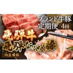 ふるさと納税 豚肉 焼肉・バーベキュー 岐阜県 下呂市 定期便4回 飛騨牛&納豆喰豚 お楽しみ定期便(しゃぶしゃぶ用、焼肉用)天狗 なっとく豚 飛騨牛 牛 牛…