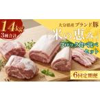 産ブランド豚 奥豊後豚 米の恵み 3種ブロック