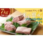 産ブランド豚 奥豊後豚 米の恵み 3種ブロック
