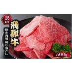 ふるさと納税 牛肉 焼肉・バーベキュー 岐阜県 瑞穂市 訳あり 飛騨牛 焼き肉用 切り落とし 500g 牛 牛肉 焼肉 BBQ バーベキュー 切り落とし