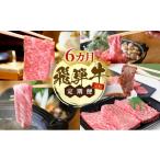牛肉 ステーキ 飛騨牛 A5 大満足 飛騨牛三昧