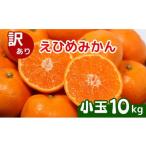 ふるさと納税 みかん・柑橘類 愛媛県 愛南町 先行受付 訳あり 清家ばんかんビレッジの愛媛みかん 小玉 10kg (傷み保証250g) 発送期間 2025年11月上旬〜 みか…