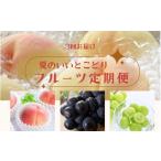果物の詰合せ 定期便全3回 7月 8月 和歌山の夏のフルーツを…