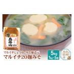 味噌 米味噌 マルイチ20麹みそ 1kg×5個セット
