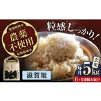令和8年産 新米 6回定期 滋賀旭 5kg