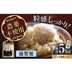 令和8年産 新米 12回定期 滋賀旭 5kg