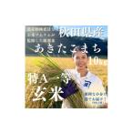 ふるさと納税 玄米 秋田県 湯沢市  米農家直送 令和7年産 特Aランク 厳選 秋田県産 あきたこまち 玄米 10kg（5kg×2袋）米 (株)鈴木又五郎商店 H6-2302